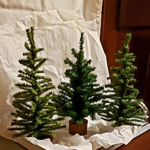 DEPARTMENT 56 - Village Evergreen Trees - Bottle Brush Pine Snow Village - VTG